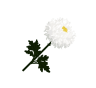 화환